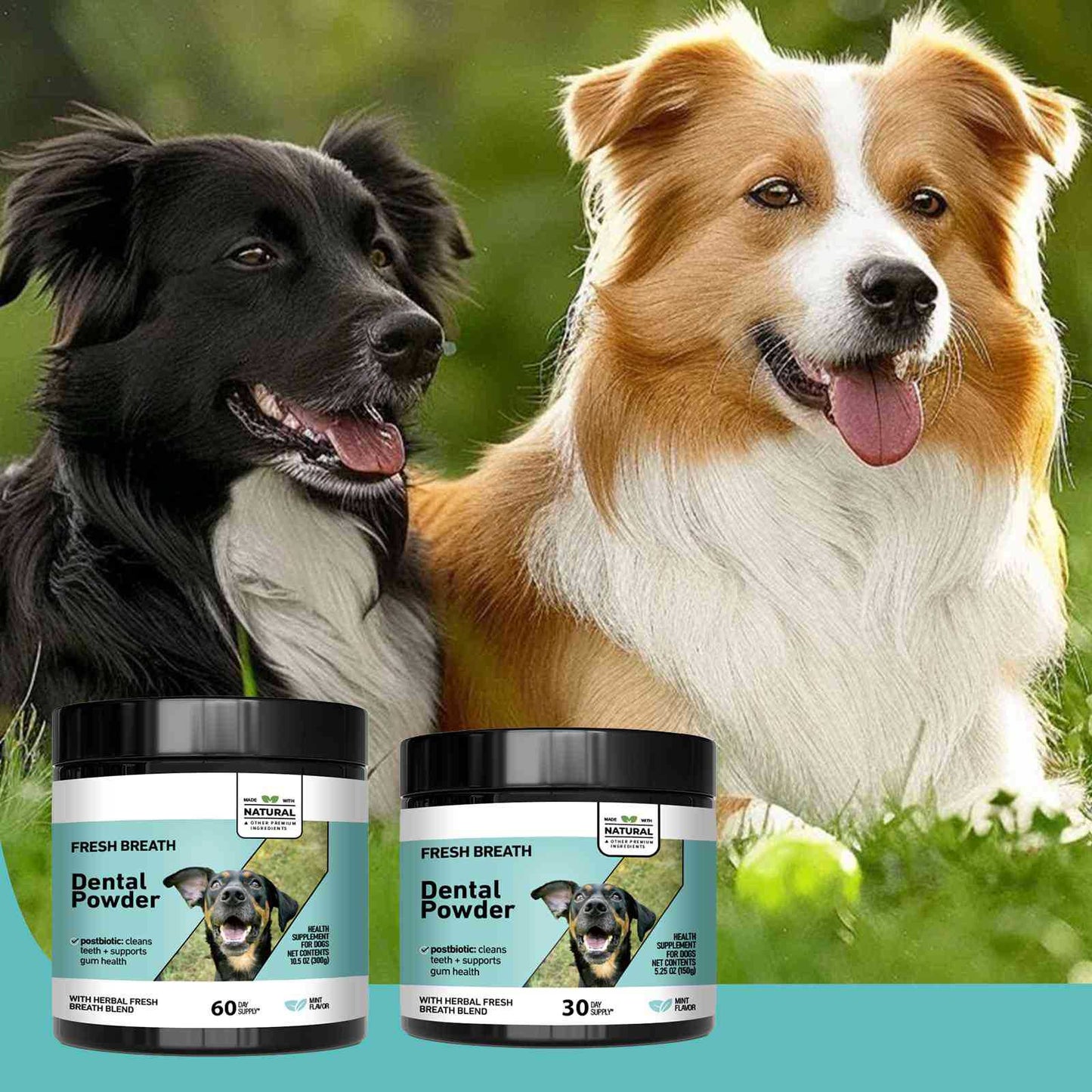 🔥Up to 35% OFF🔥FRESH BREATH Dental Powder