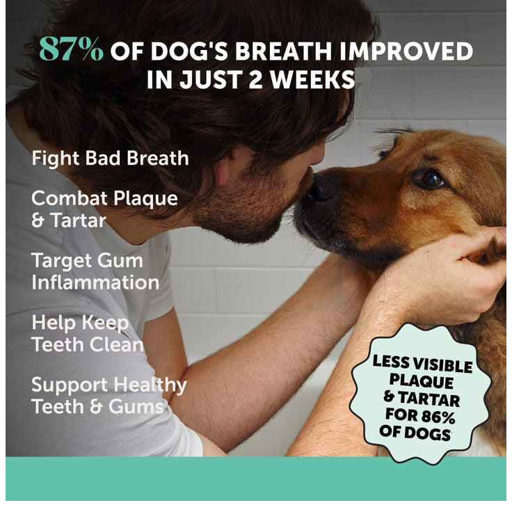 🔥Up to 35% OFF🔥FRESH BREATH Dental Powder