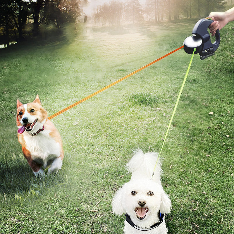 Multi-functional dog walking leash