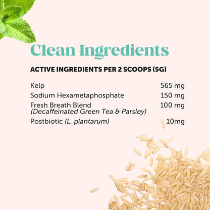 🔥Up to 35% OFF🔥FRESH BREATH Dental Powder