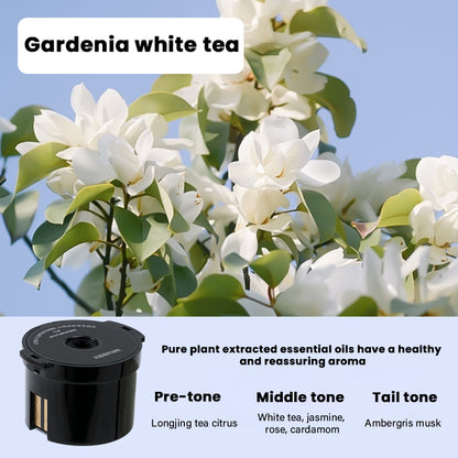 🔥Up to12% OFF🔥Mount Fuji cloud car aromatherapy